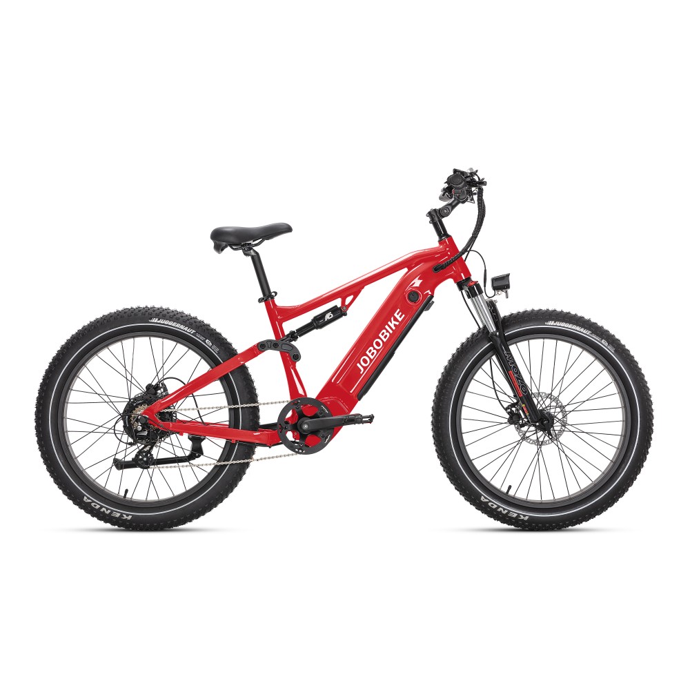 MTB 전기 자전거